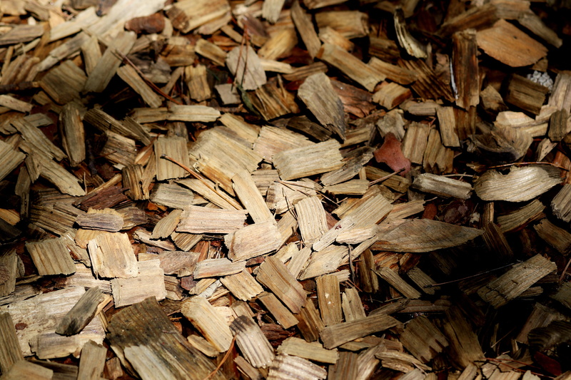 affix, lumber industry, day, wood, leaves, full frame, nature, stack, log, wood - Material, wood carvings, high angle view, 5K, sunshine, makro, brown