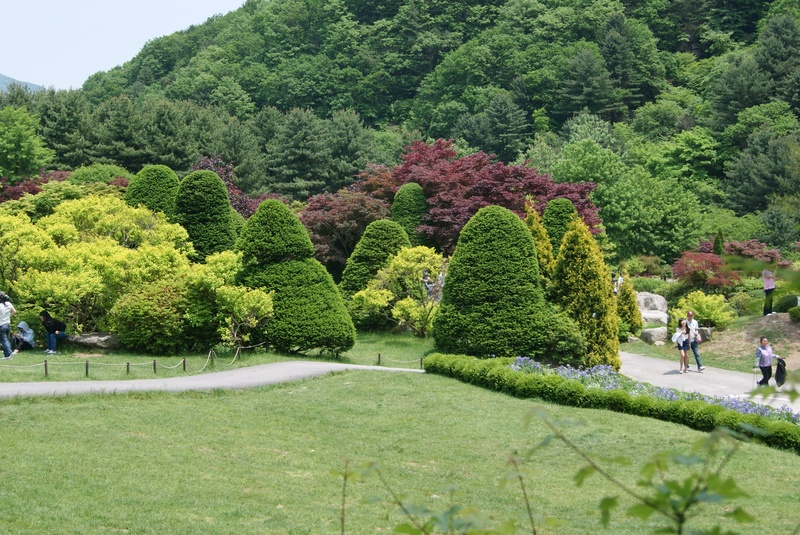 park, a flower garden, green color, 2K, tranquil scene, outdoors, scenics - nature, beauty in nature, hedge, formal garden, foliage, tranquility, garden