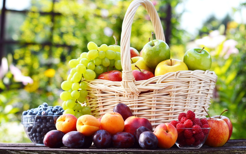 variation, container, choice, wellbeing, fruit, lunch, tree, agriculture, healthy eating, food and drink, green color, outdoors, freshness, focus on foreground