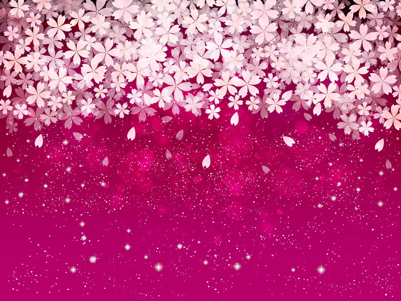 outdoors, freshness, springtime, flowering plant, cherry blossom, backgrounds, cherry blossom background, vulnerability, fragility, nature, close-up, flower