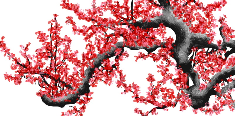 no people, red, freshness, food and drink, low angle view, beauty in nature, branch, pink color, close-up, flowering plant, blossom, outdoors, growth, cherry blossom  desktop pictures