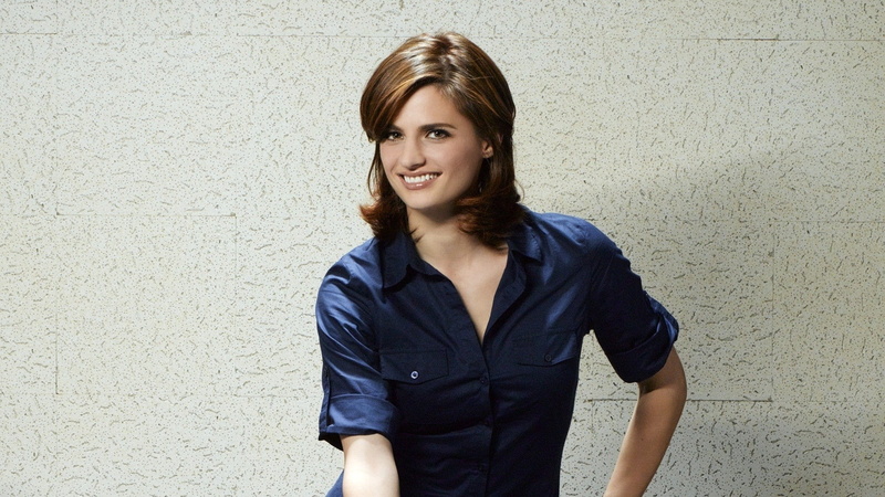 katic, 1080P, stana, series, entertainment, hd, Castle TV Series, women, art, Stana Katic, tv, Smiling, brunettes, castle