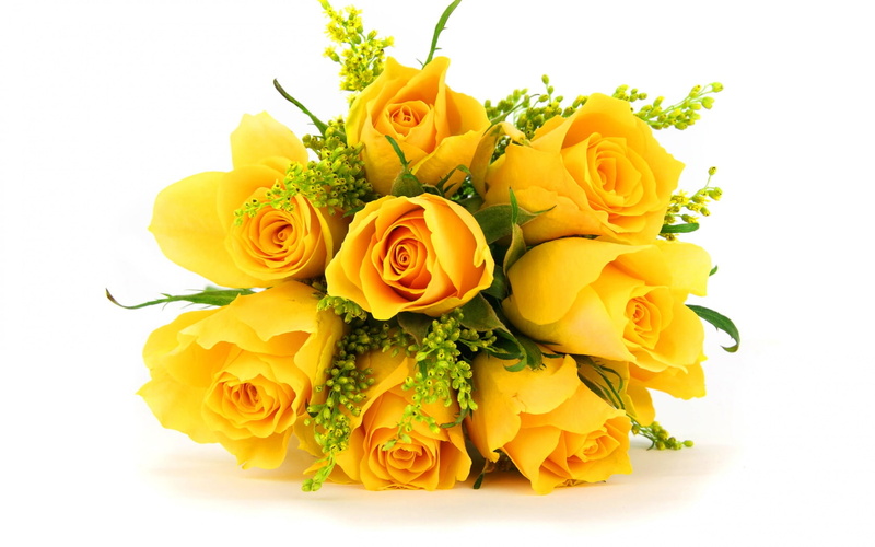beauty in nature, 720P, plant, bunch of flowers, Flowers, flower, close-up, freshness, bouquet, flowering plant, vulnerability, flower head, fragility
