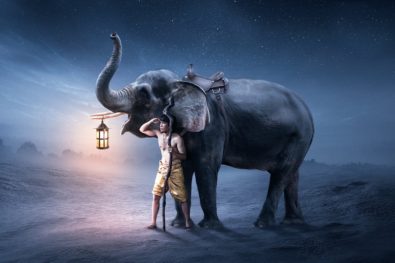 standing, men, beside, digital composite, vertebrate, night, herbivorous, water, domestic, nature, sky, 1080P, people, digital, full length, mammal, domestic animals