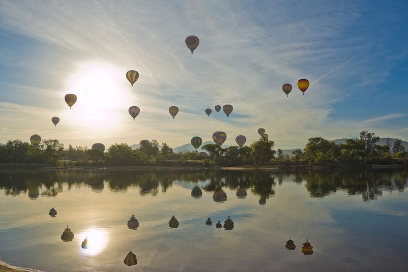 air vehicle, ca, air, colorful, transportation, inflate, event, tree, balloon and wine festival, plant, propane, day, 5K, beauty in nature, lake skinner