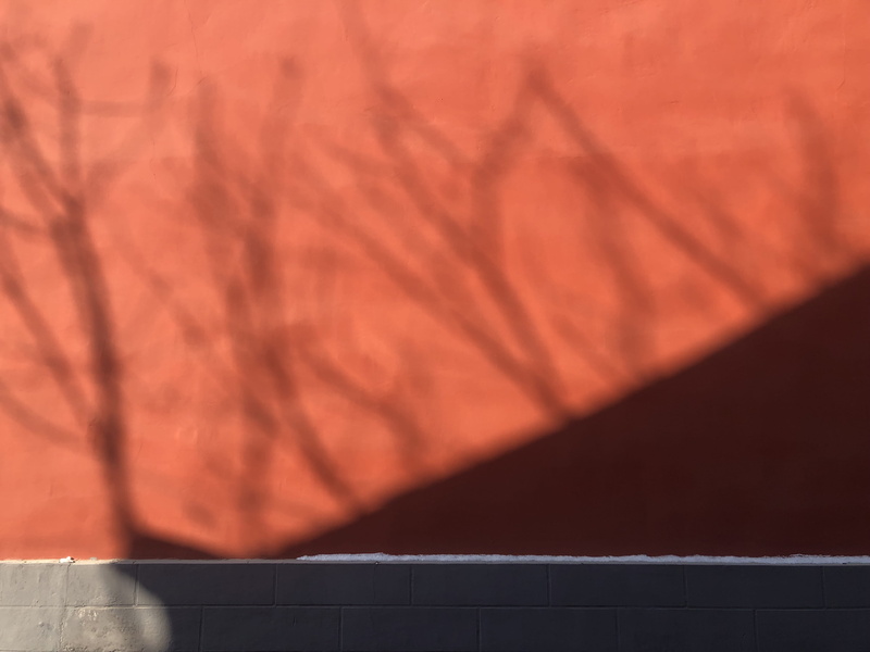 softball, athlete, copy space, red, sport, racket, cricket, 4K, security, nature, wall, close-up, absence, tennis, sphere, sports, tennis racket, ballplayer
