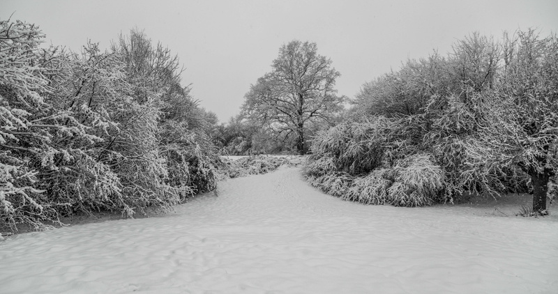no people, harry potter studio tour, beauty in nature, watford, diminishing perspective, sky, winter, united kingdom, nature, snow, outdoors, cold temperature