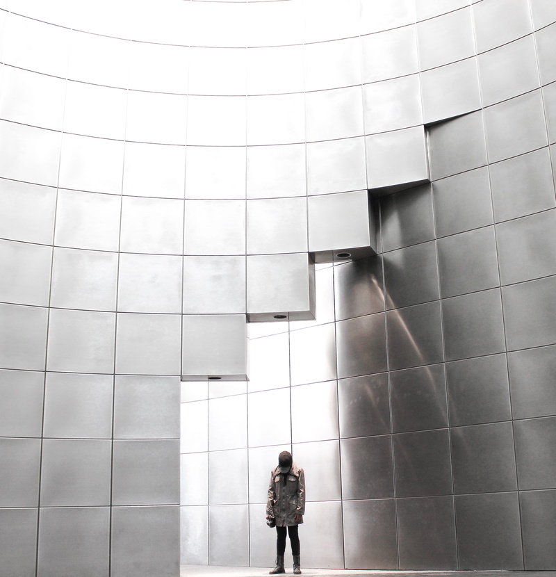 people, reflection, room, office Building, silver, wall - building feature, urban Scene, businesswoman, walking, adult, full length, leisure activity, rear view
