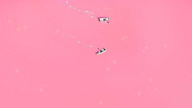 backgrounds, red, PINK, mid-air, 1920x1080 px, motion, x, no people, people, close-up, pink color, drop, wet, purity, purple, Love, colored background