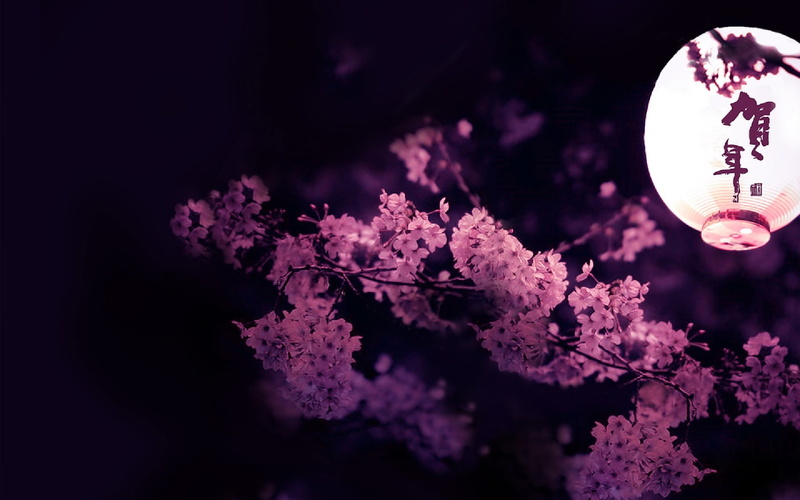 blossom, chinese, tree, flowers, full moon, winter, springtime, no people, flowering plant, nature, plant, theme, cherry blossom, night, snow