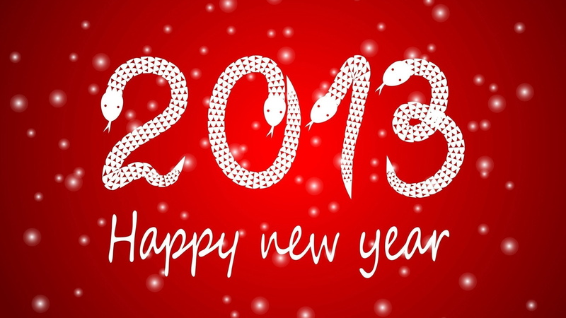 2K, snake, 2013, celebration, year