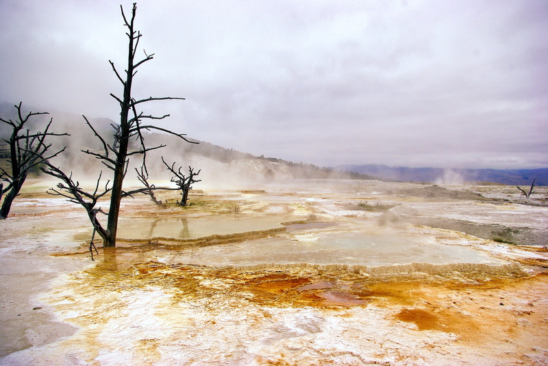 steam, clouds, wet, yellowstones canary spring, cloud - sky, water, algae, land, mammoth, heat - temperature, park, wyoming, calcium, spring, national