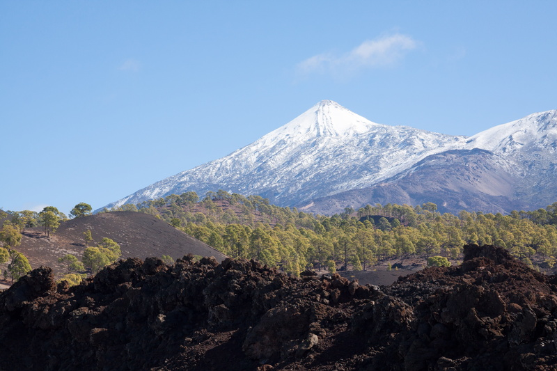 death, mountain peak, brown, contrast, no people, volcano, pico del teide, green, live, canary kiefer, 4K, lava, plant, non-urban scene, cold temperature