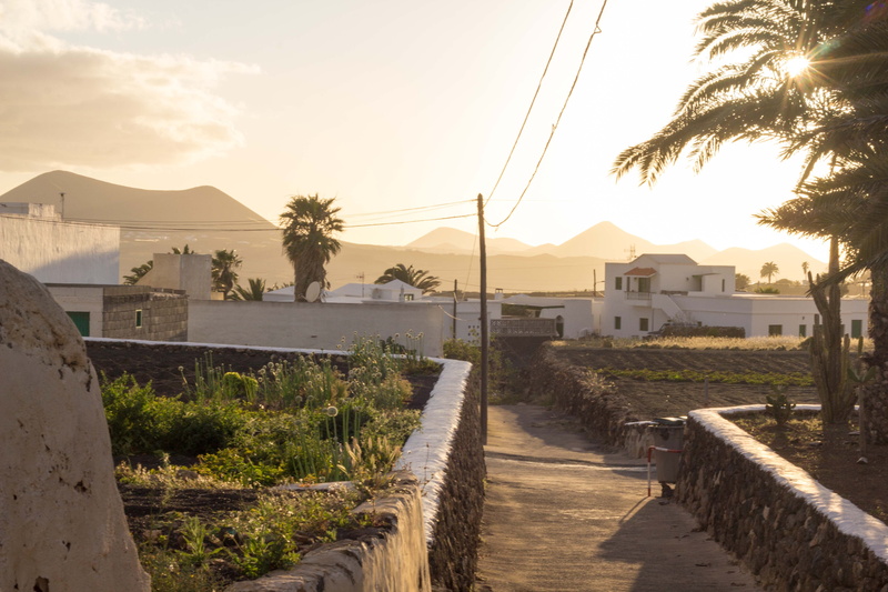 palm tree, water, teguise, the way forward, architecture, building exterior, built structure, tropical climate, canary islands, mountain, outdoors, cloud - sky