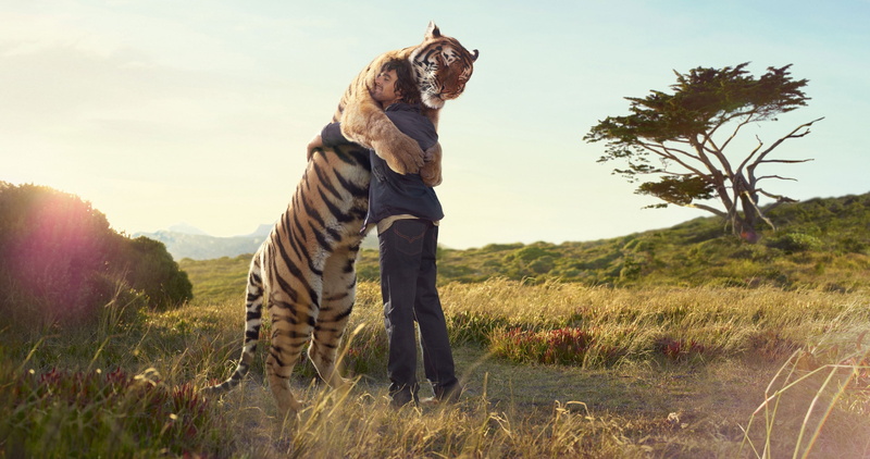 hug, animal, one animal, environment, Print, 2K, pets, man, mouth open, Friend, canine, landscape, tree, nature, Tiger, land, domestic, plant, animal themes