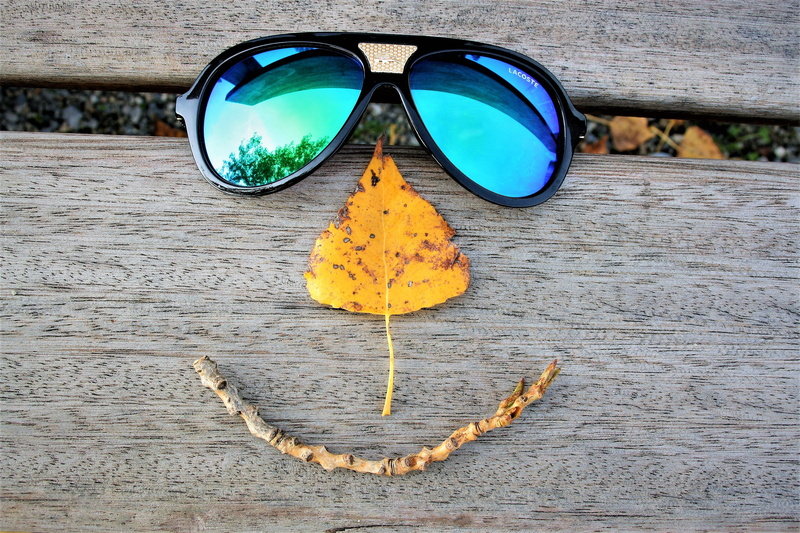 positive, bench, outdoors, october, a smile, lacoste, leaf, art and craft, protection, close-up, high angle view, spacer, sunglasses, water, reflection