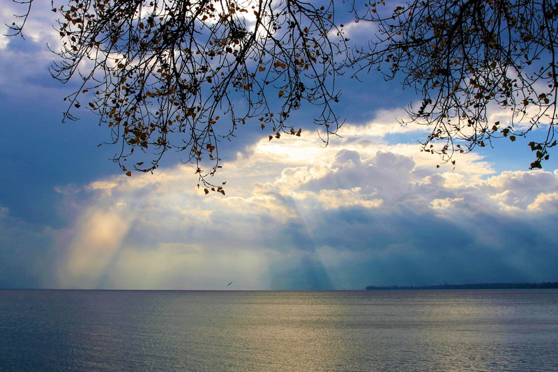 scenics - nature, nature, the silence, sea, sunlight, bodensee, peace of mind, tranquil scene, body, autumn, daytime, october, romanshorn, rays of the sun