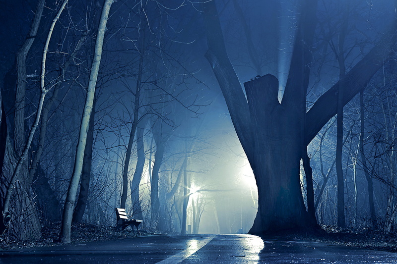 giant, bench, atmosphere, evening, architecture, opole, clipped the branch, the island bolko, spacer, way, tranquil scene, tranquility, beauty in nature