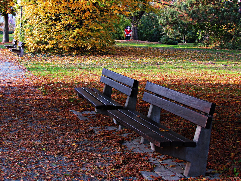 rest, foliage, day, nature, falling, 4K, leaves, no people, plant part, park - man made space, autumn, outdoors, beauty in nature, field, spacer, leaf