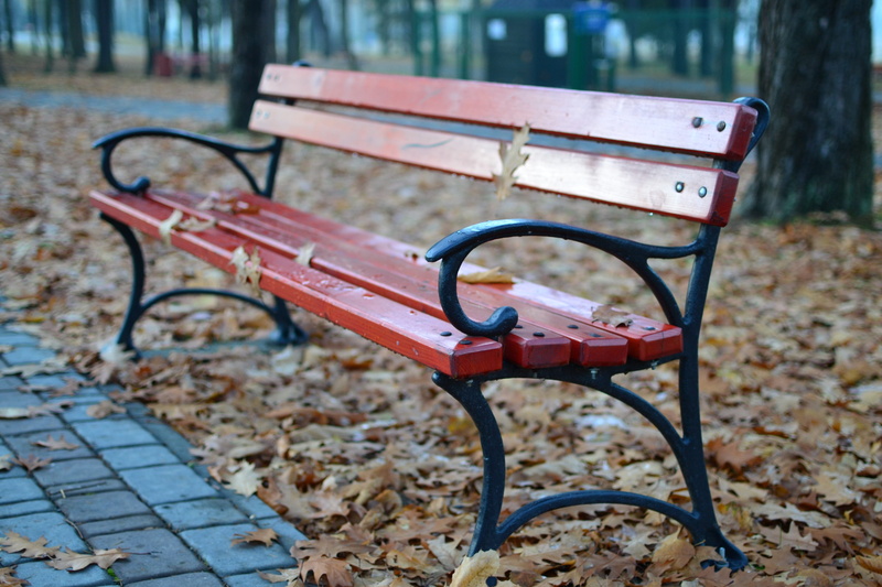 outdoors, day, dried, park, park bench, relaxation, wet, 4K, nature, reverie, bench, spacer, empty, fresh air, leaf, benches, metal, seat, the path, footpath