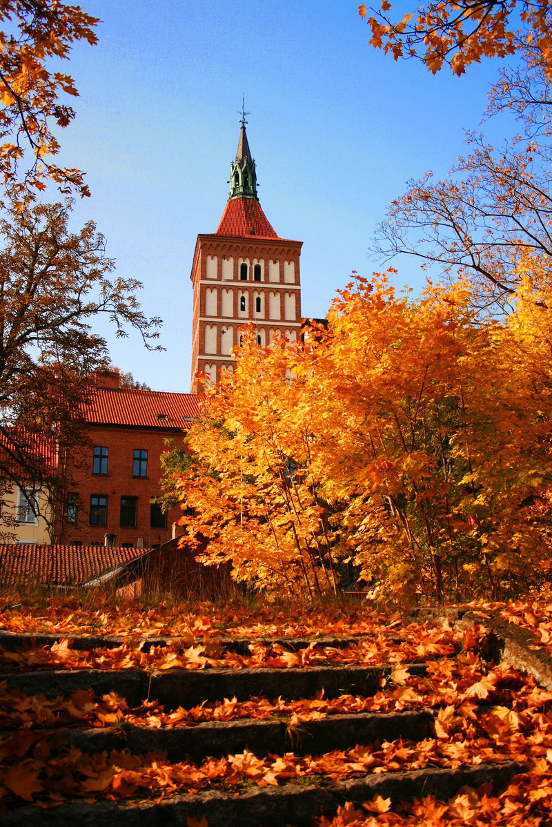 olsztyn, built structure, place, city, autumn gold, religion, partly sunny, vanishing, tourism, spire, building exterior, outdoors, gold, change, no people