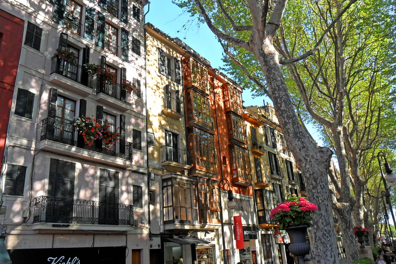 outdoors, tour, multi family building, shops, architecture, street, kamienica, city, no people, plant, tree, gray, building exterior, sunlight, sky, residential district