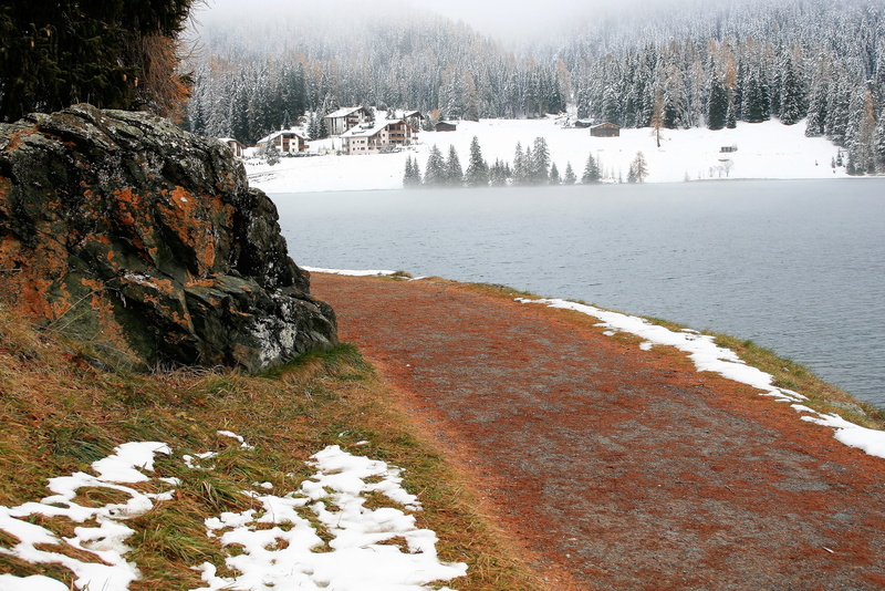 spacer, dawn, no people, cold temperature, snow, relax, haze, the cold season, tree, winter dream, tranquility, white color, beauty in nature, park, rocks