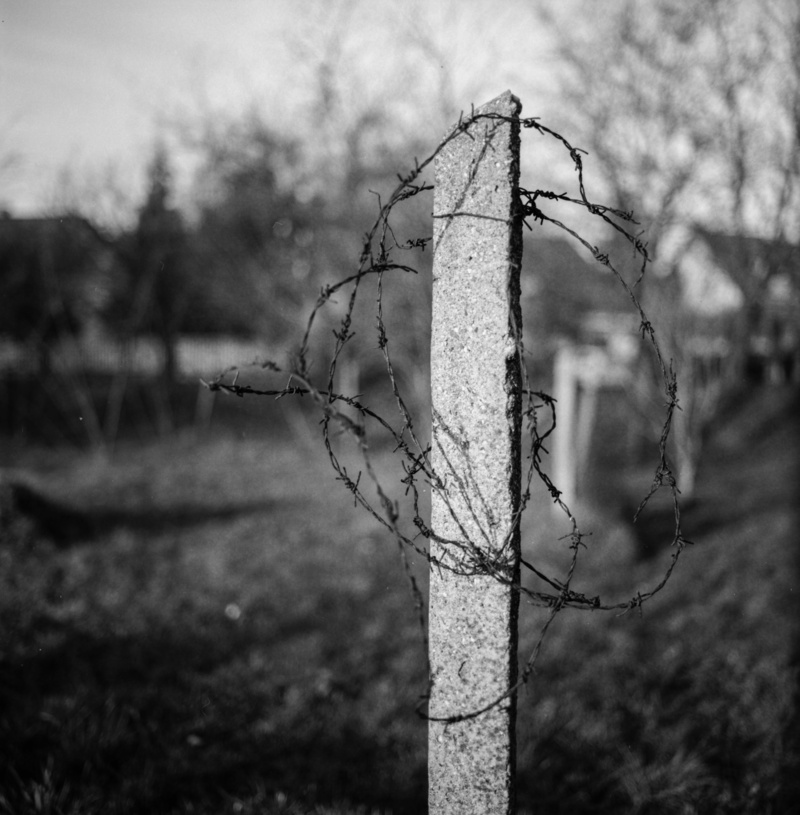 blurry background, boundary, fencing, barbed, industry, 8K, razor, blur, wire, field, barbwire, close-up, focus on foreground, steel, danger, black, metal