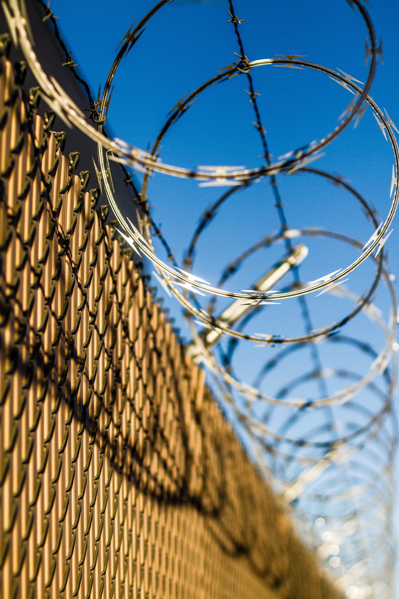concertina wire, nature, razor wire, close-up, netting, link, sharp, barbed, steel, 5K, selective focus, barbed wire, barrier, prison, concertina, security