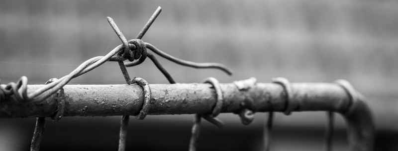 macro, fencing, limit, irons, selective focus, close up, grayscale, gray, wire, animal themes, aggression, close, protection, fence, security, detail, day