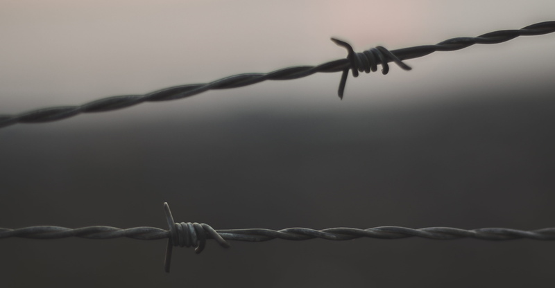 barb, steel, chain, metal, barbed, animal themes, wire, gray, protection, strength, photo, prison, focus, water, connection, rope, no people, communication