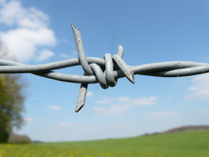 barbed wire fence, alloy, safety, silver colored, landscape, barb, outdoors, gray, land, boundary, no people, sky, protection, 2K, field, close-up, wire