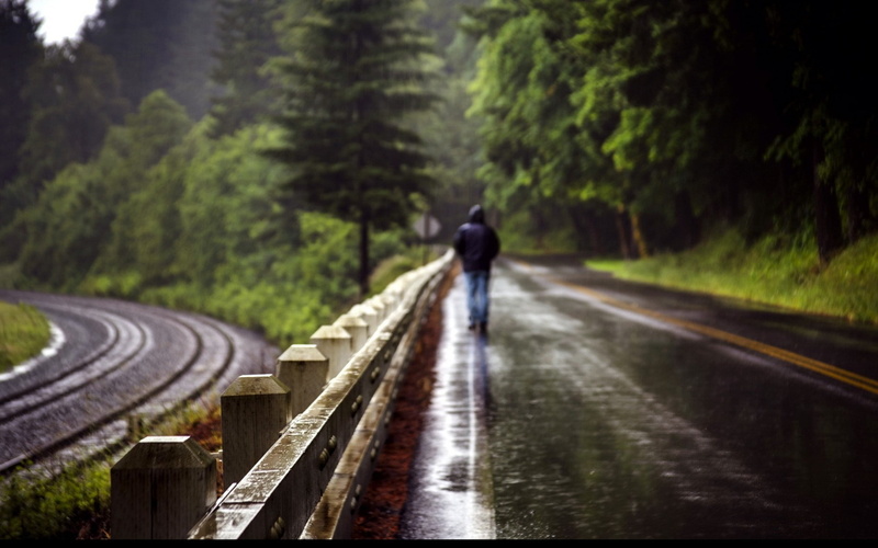 rain, alone, tree, motion, plant, full length, railway, trees, woodland, adult, 2K, tracks, selective, the way forward, transportation, wet, man, day