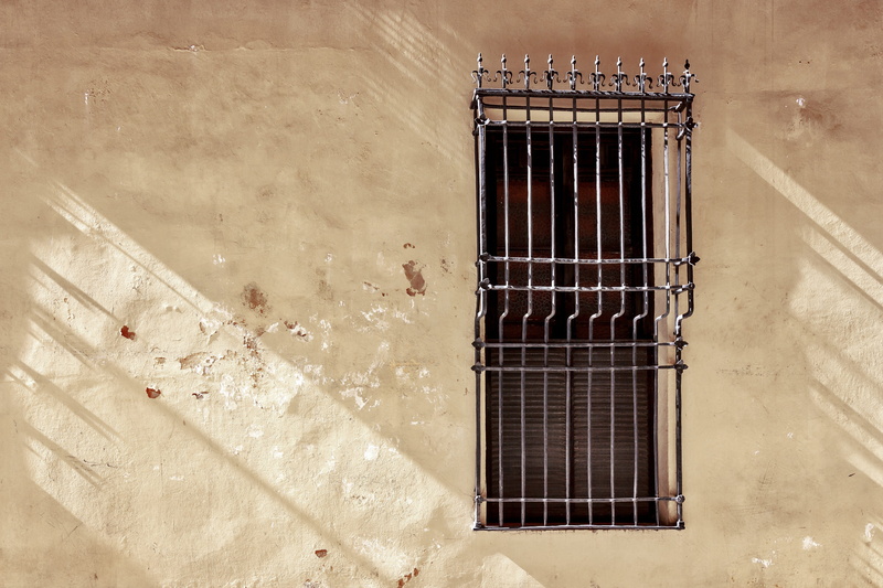 security bar, Window, protection, sunlight, Malaga, architecture, one animal, metal, vertebrate, wall - building feature, malaga, safety, day, security