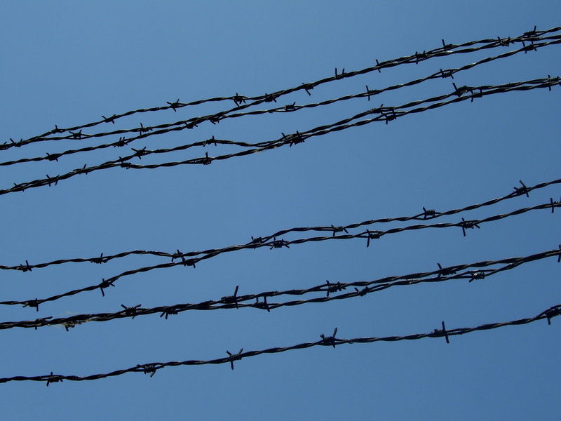 Barbed Wire, danger, no people, metal, outdoors, sign, exclusion, 2K, fence, razor wire, safety, warning sign, Bondage, wire, pattern, clear sky, barrier