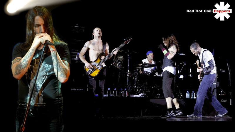 group of people, sound, performance, event, playing, chili, rock Music, pop Musician, real people, rehearsal, skill, scene, music, musical Band, musical equipment