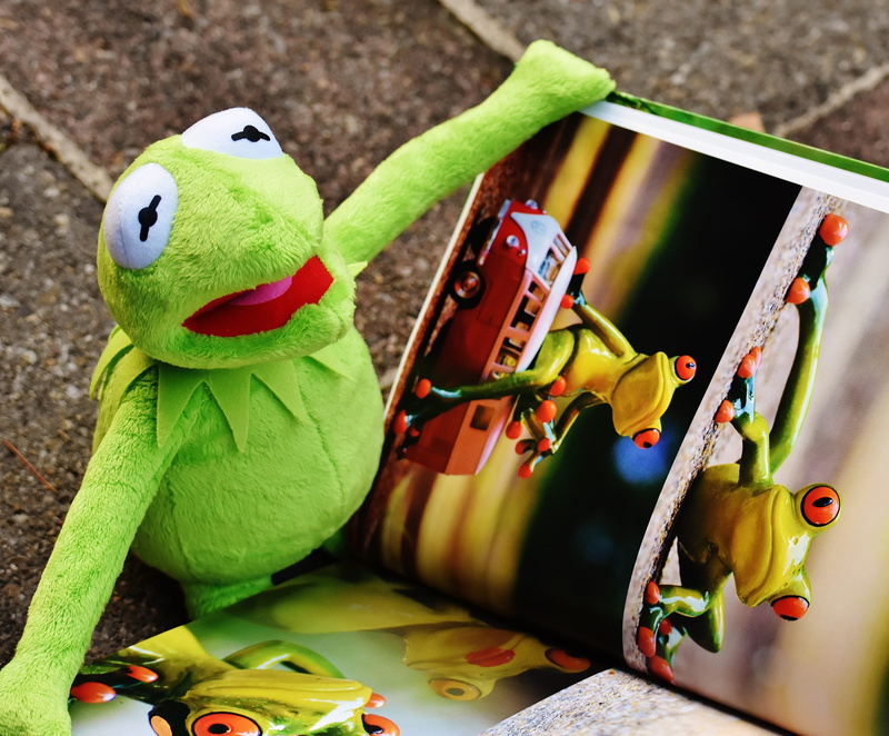 stuffed animal, art and craft, still life, multi colored, frog, stuffed toy, kermit, book, animal, picture book, frogs, 4K, sit, high angle view, representation