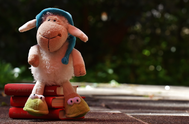human representation, stuffed toy, plush, sleepyhead, still life, childhood, books, read, bench, sheep, nature, art and craft, outdoors, close-up, stuffed animal