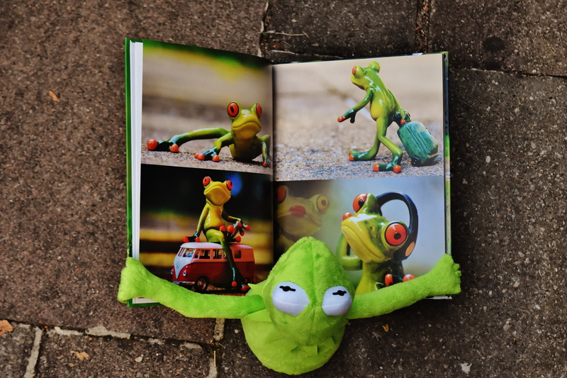 green color, indoors, picture book, book, no people, dinosaur, frog, nature, to watch, figure, stuffed animal, figurine, photography, frogs, creativity