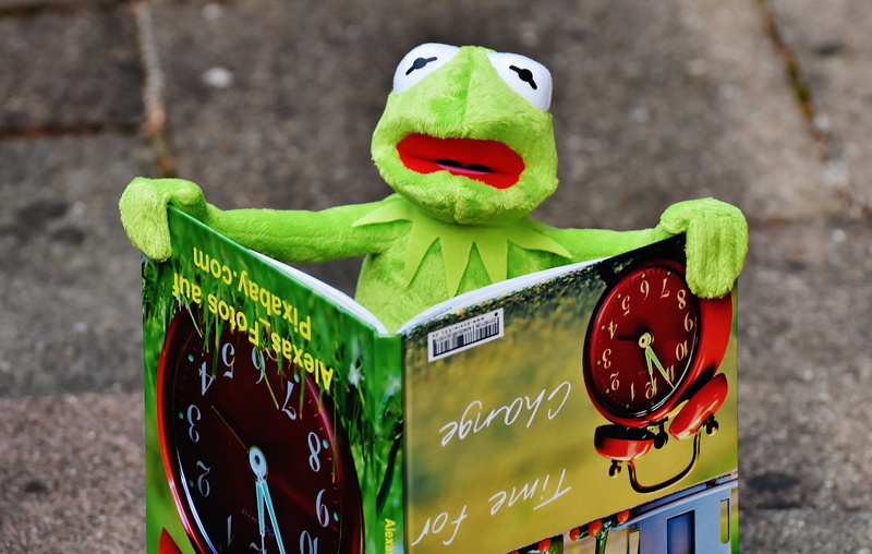 human representation, art and craft, animal, humor, close-up, 5K, alexas photos, picture book, nature, funny, frogs, stuffed animal, photo, viewing, representation