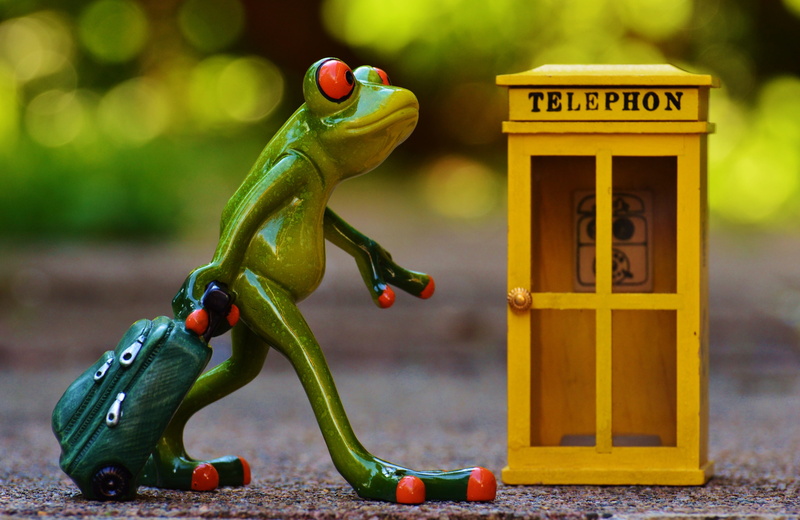 sweet, funny, order, small, figurine, no people, healthy eating, frogs, by phone, food and drink, representation, close-up, frog, pepper, communication