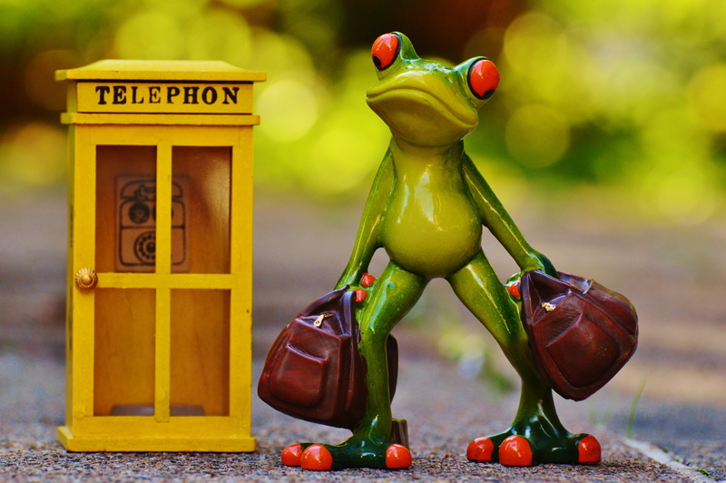sweet, cute, frag, animal themes, vegetable, no people, fun, standing, healthy eating, container, frog, miss, small, beside, phone, fruit, ceramic, animal