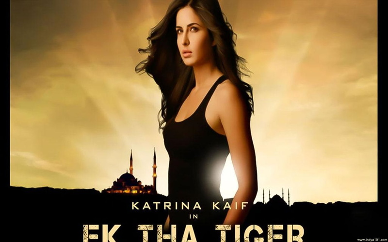 tiger, katrina, bollywood, spy, 1080P, tha, thriller, romance, kaif, ek-tha-tiger, action