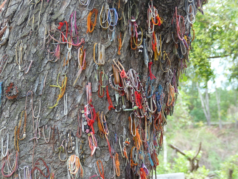 focus on foreground, killing fields, pattern, 2K, choeung ek, tranquility, outdoors, nature, multi colored, tree trunk, on the tree of the dead children