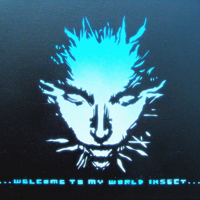 quote, face, 480P, Shodan, System Shock 2