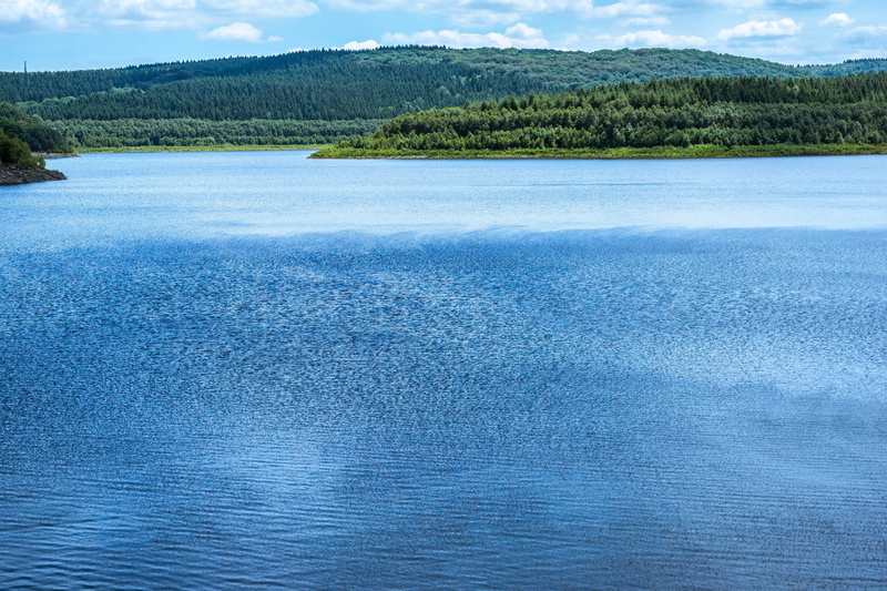 water power, pine tree, lake, tranquil scene, pine woodland, no people, mountain, blue, tree, dam, woe creek dam, coniferous tree, nature, idyllic, ruffled