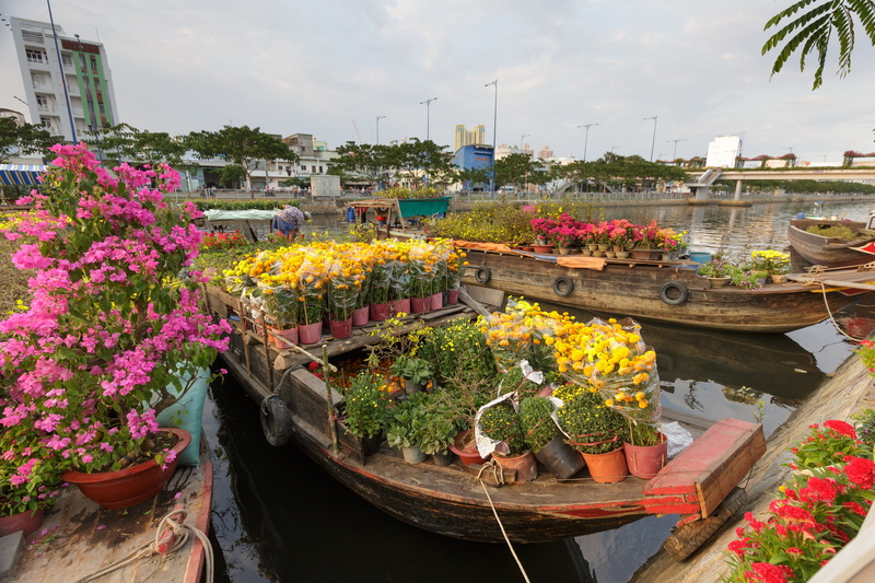 reflect, built structure, architecture, growth, scene, ho chi minh, business, holiday, market, the river, nature, flower head, freshness, choice, water