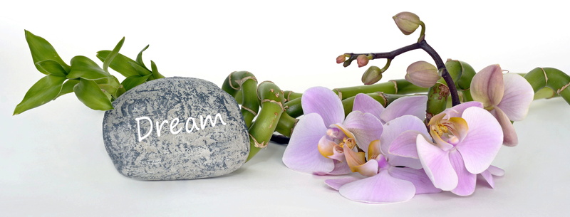 bunch of flowers, freshness, recovery, no people, petal, bouquet, wood, closeup, flowering plant, pink, white background, 5K, orchid flower, plant part
