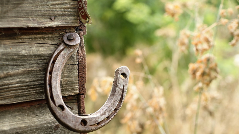 beaded, no people, rusty, animal themes, horseshoes, entrance, copy space, outdoors, day, plant, focus on foreground, animal, safety, rustic, door, 1080P