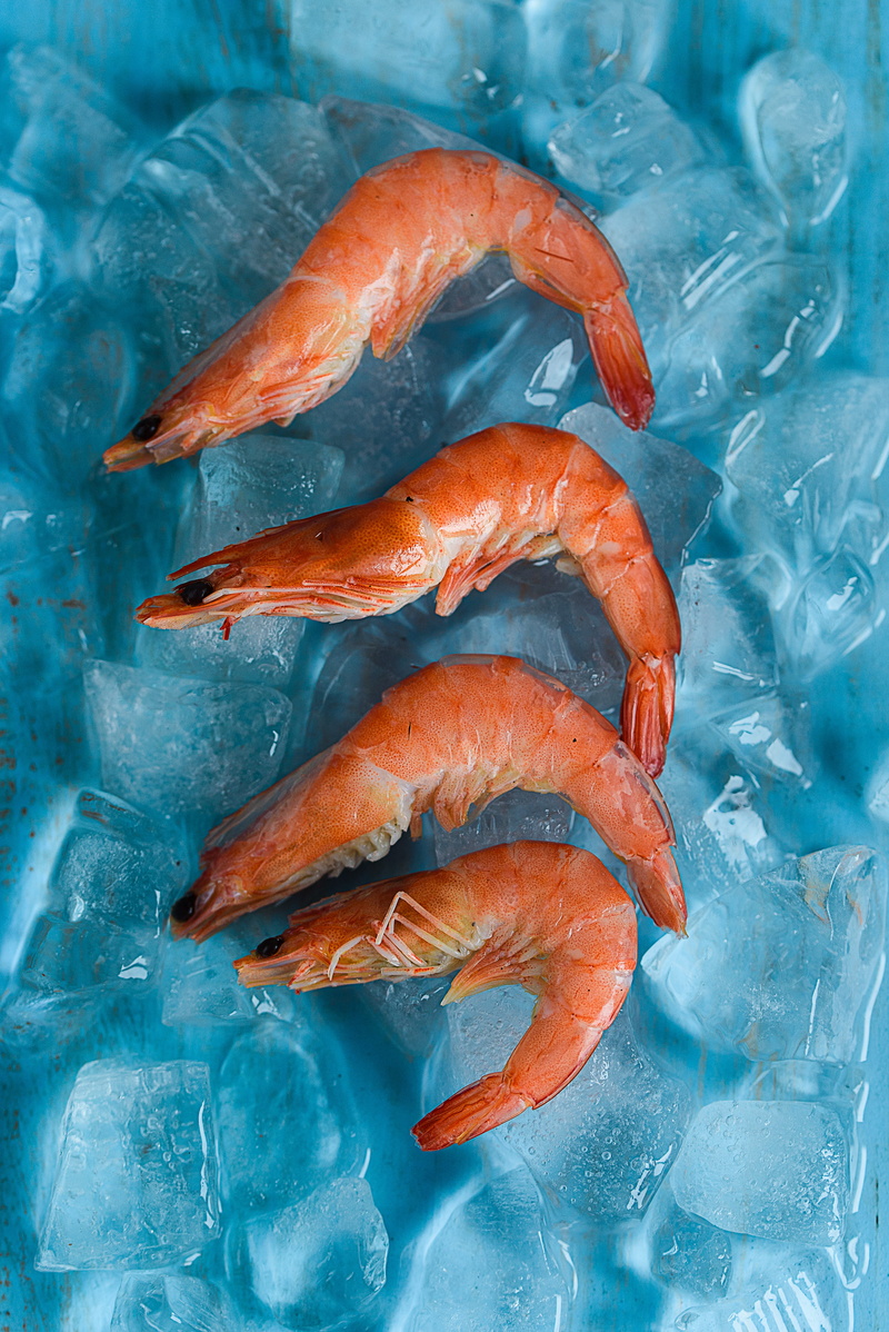 raw food, ice cube, freshness, german shepherd, food and drink, cold temperature, crustacean, dog, shrimp, no people, wellbeing, animal, sea life, orange color